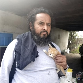 Kitten saved by hoarding cleanout crew
